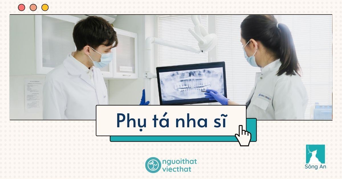 E cần tìm cv phụ tá ở quận 1,3,10 
