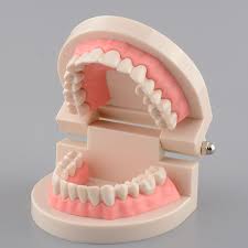 E là Nam Y Sĩ 29t thành thạo Thẩm Mỹ và Tổng quát xin ứng tuyển vị trí điều trị hoặc phụ điều trị