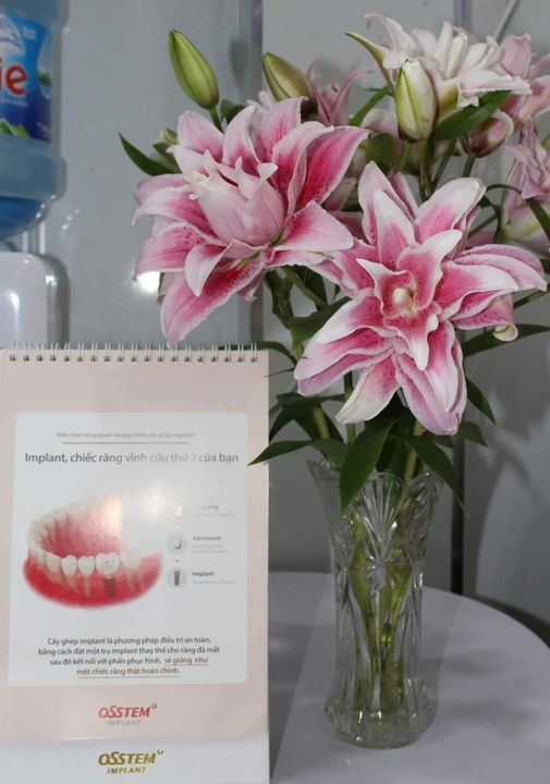 (GẤP) NHA KHOA DIỄM QUỲNH - QUẬN 10 -TP HCM CẦN TUYỂN PHỤ TÁ NHA KHOA (SL: 02, Nữ)