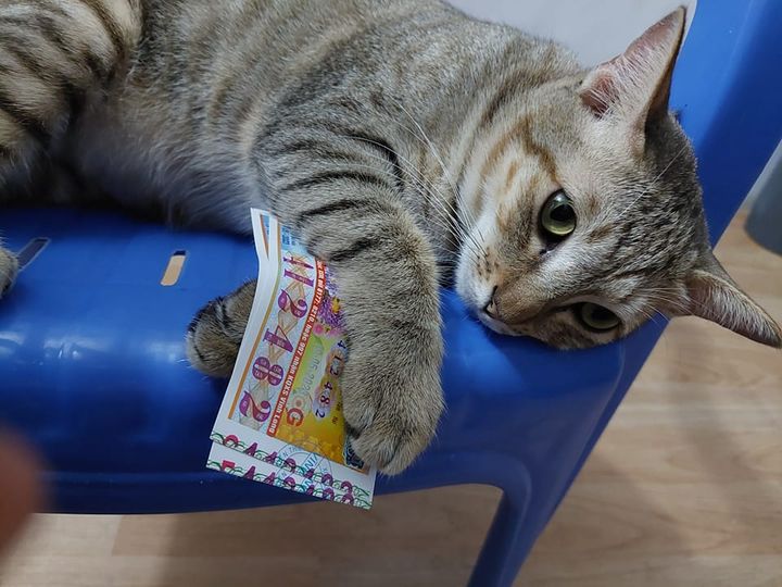 Nha khoa ở lâm văn bền q7 cần tuyển