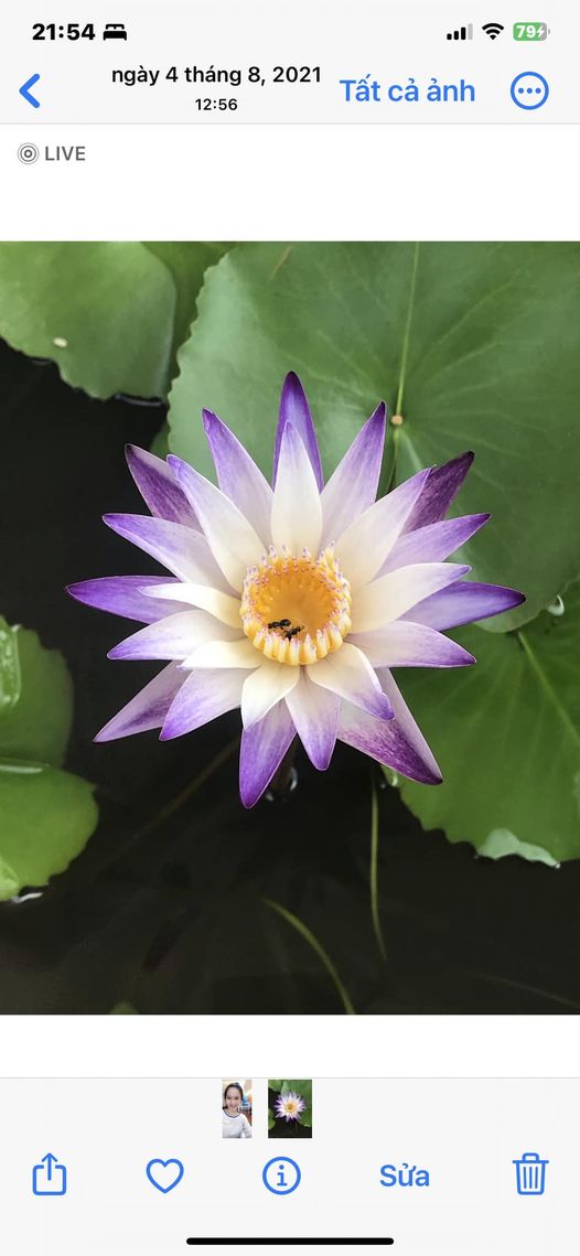 Nha khoa NGỌC SỨ - Quận Tân phú - Tp. HCM. Cần tuyển dụng PHỤ TÁ NHA KHOA.