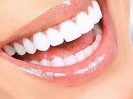 E chào quý nha khoa  E xin ứng tuyển vị trí phụ tá nha khoa