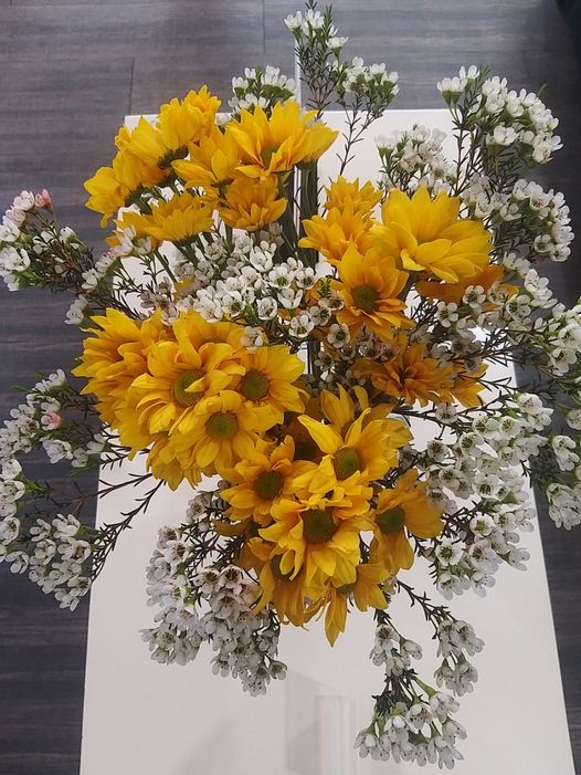 CÔNG TY TNHH NHA KHOA LEE cần tuyển ***** 01 Bác Sĩ