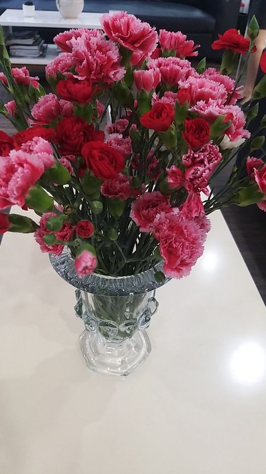 CÔNG TY TNHH NHA KHOA LEE cần tuyển