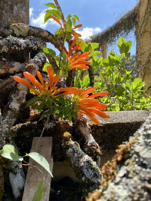 NHA KHOA NGỌC SỨ- QUẬN TÂN PHÚ Tuyển dụng: 👉 02 Phụ tá nha khoa có kinh nghiệm ít hoặc nhiều