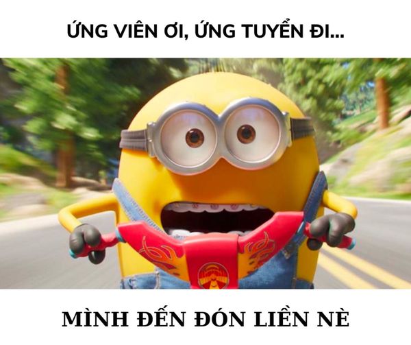 BẠCH MAI TUYỂN ĐỒNG ĐỘI PHỤ TÁ   cần tuyển: - 02 PHỤ TÁ NHA KHOA