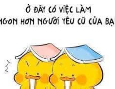 NHA KHOA tp Huế Tuyển Dụng :  1. Bác sĩ Cấy Ghép Implant (SL: 1)