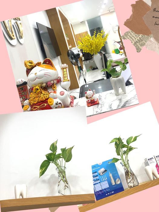 Nha khoa H-DENTAL tuyển dụng Nha khoa đang cần tìm 1 bạn nữ phụ tá