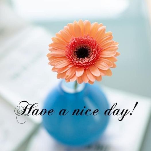 Nha #khoa MINH NHỰT - Quận 5 cần tuyển   #PHỤ #TÁ.