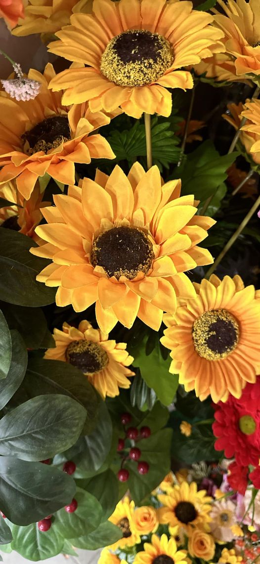 Nha khoa Thảo Nguyên quận 7: Tuyển Dụng Nhân Viên: 🗳️ 3 Phụ tá nha khoa ( có kinh nghiệm )