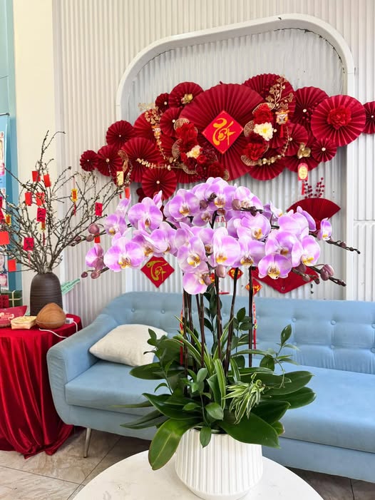 Mở rộng quy mô hoạt động nha khoa Quốc tế Việt Đức Hạ Long cần tuyển 