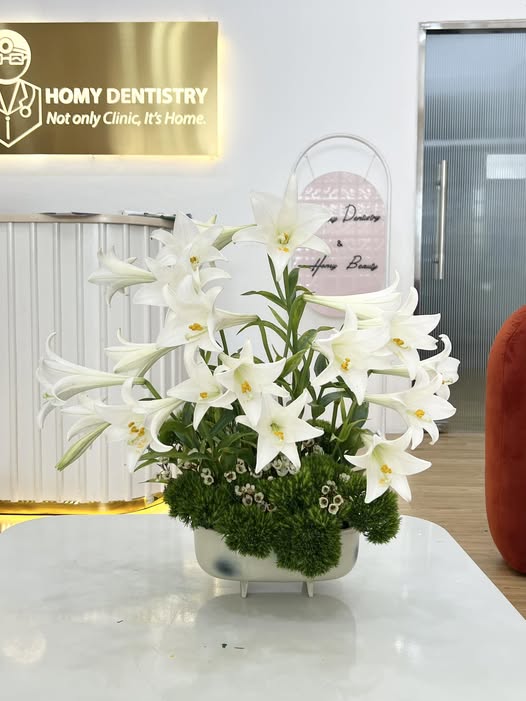 Tuyển dụng TRỢ THỦ NHA KHOA - Số lượng: 02