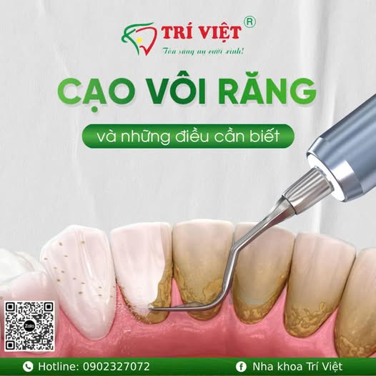 NHA KHOA TRÍ VIỆT tuyển dụng nhân sự làm việc fulltime tại Quận Gò Vấp  Vị trí phụ tá: 02 